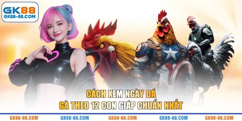 Cách xem ngày đá gà theo 12 con giáp chuẩn nhất