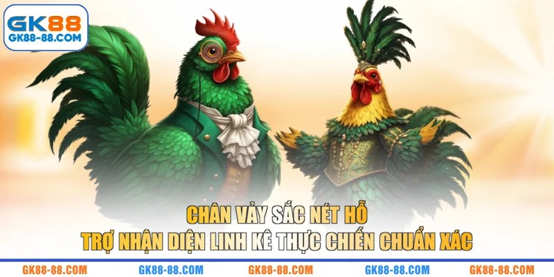 Chân vảy sắc nét hỗ trợ nhận diện linh kê thực chiến chuẩn xác