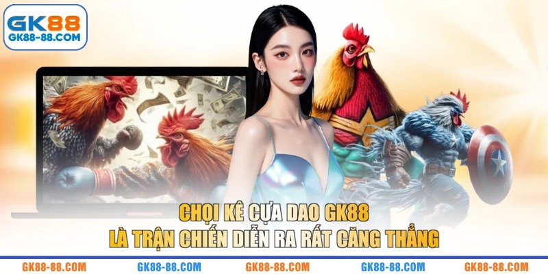 Chọi kê cựa dao GK88 là trận chiến diễn ra rất căng thẳng