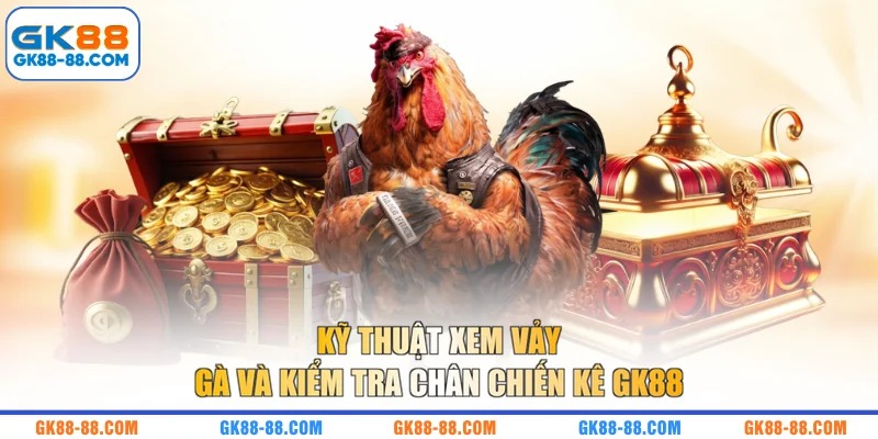 Kỹ thuật xem vảy gà và kiểm tra chân chiến kê GK88