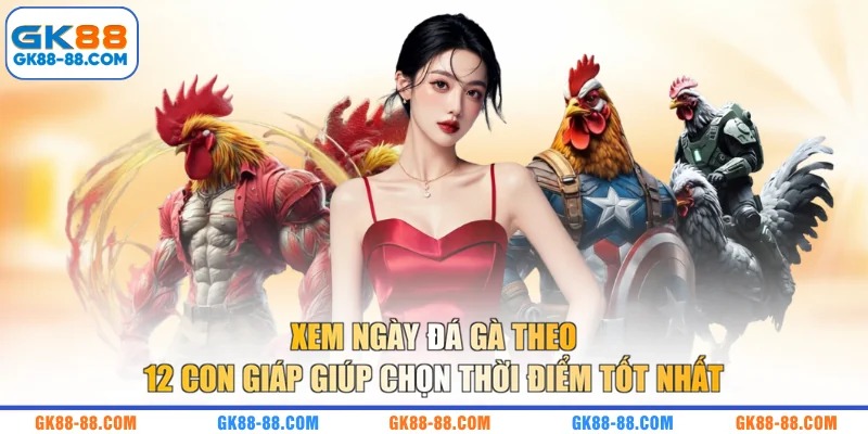 Xem ngày đá gà theo 12 con giáp giúp chọn thời điểm tốt nhất