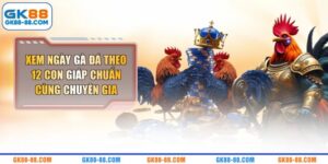 Xem Ngày Gà Đá Theo 12 Con Giáp